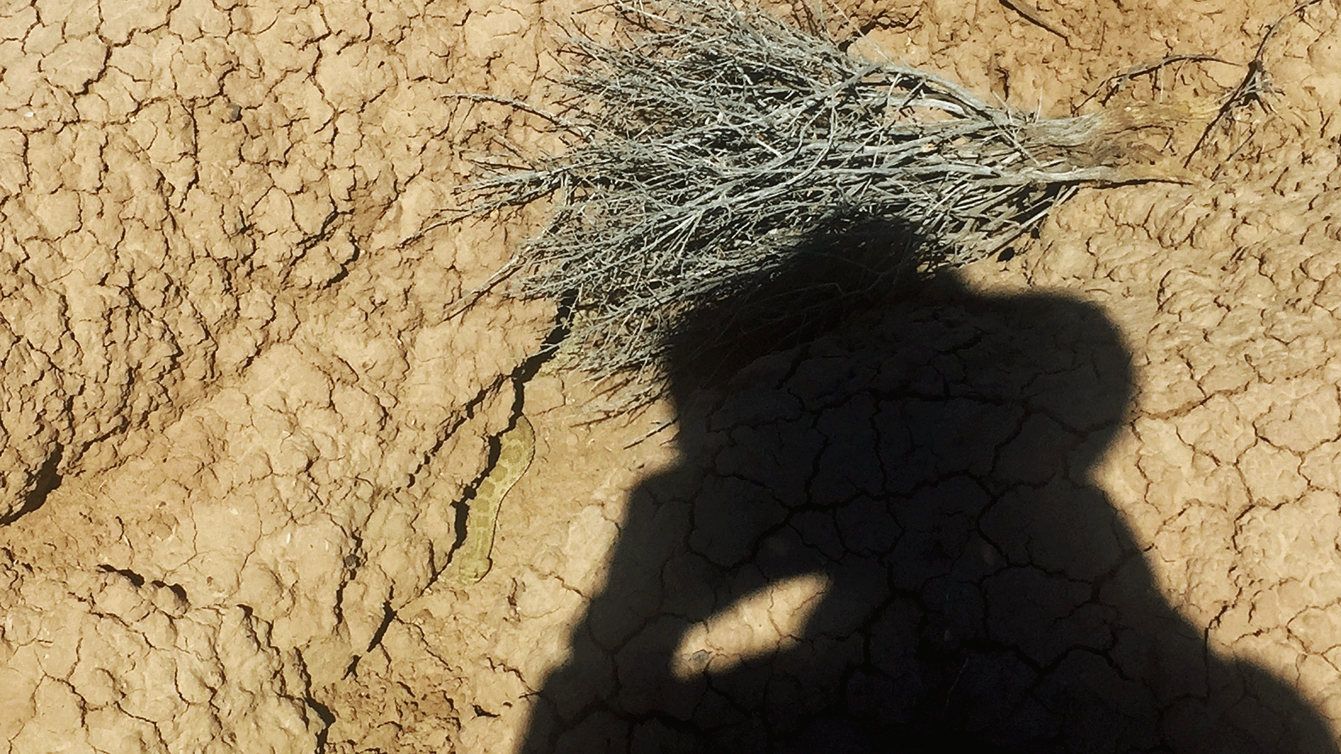 Rio Puerco Valley near Los Lunas, April 2019