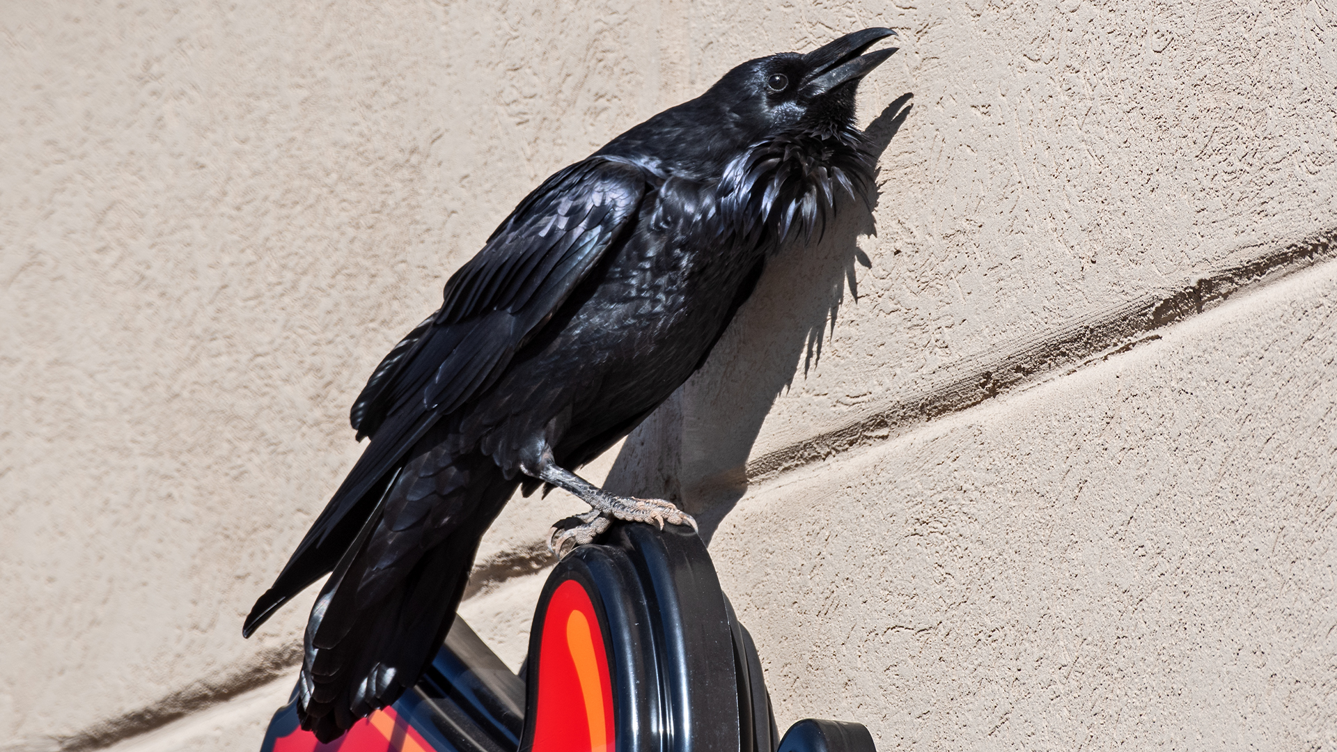 Grants, September 2025