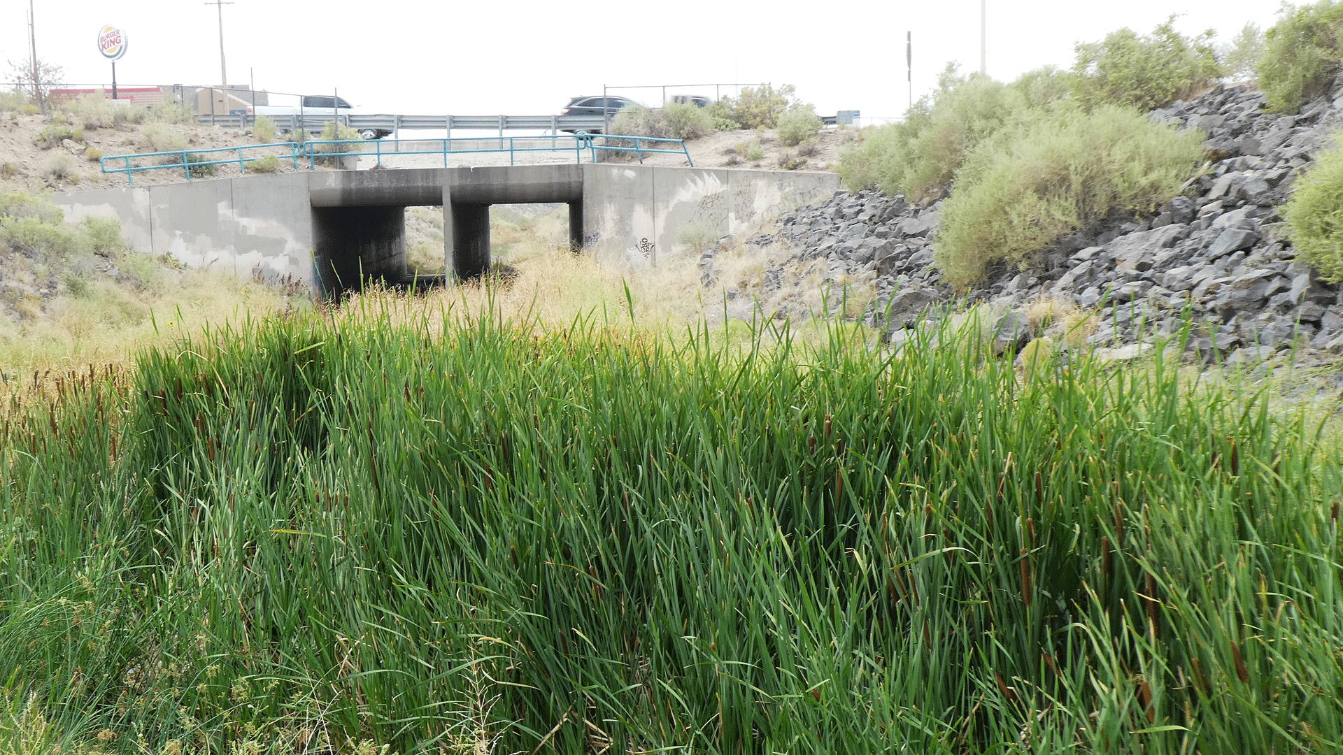 Albuquerque, July 2020