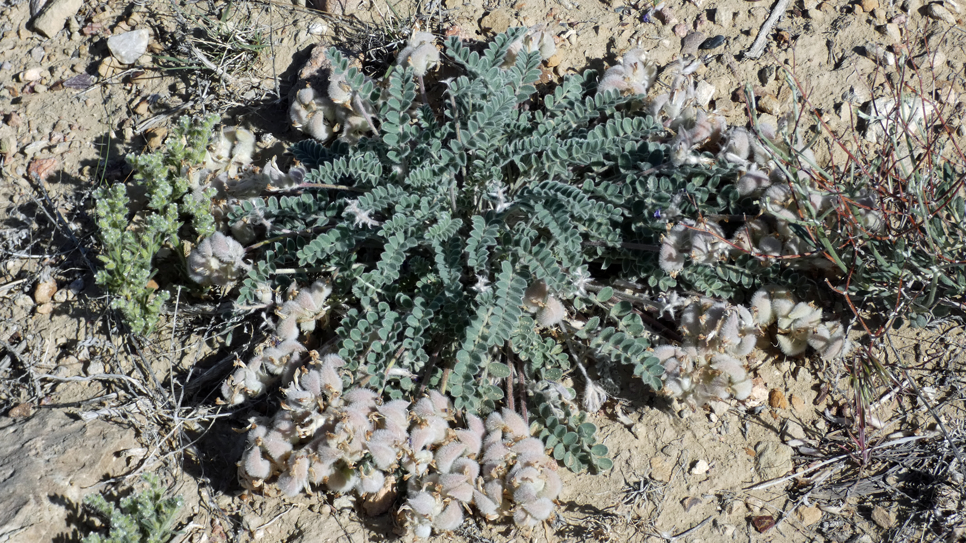 NM 259 at US 550, May 2024