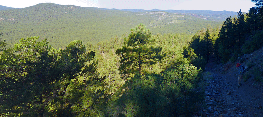 Stable Mesa, Jemez Mountains, Santa Fe National Forest, New Mexico