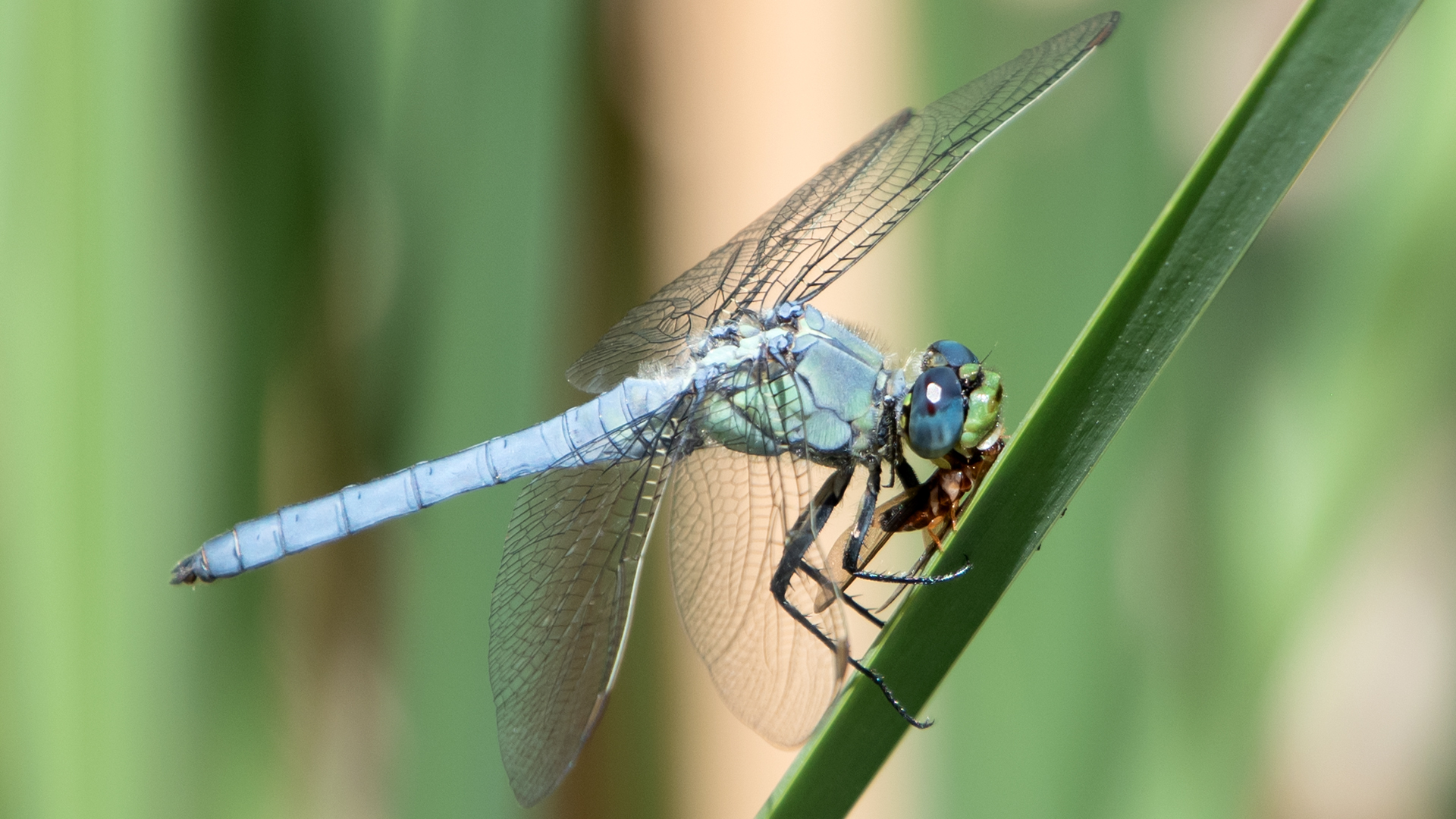 Male with victim, Rio Grande Bosque, Albuquerque, May 2023