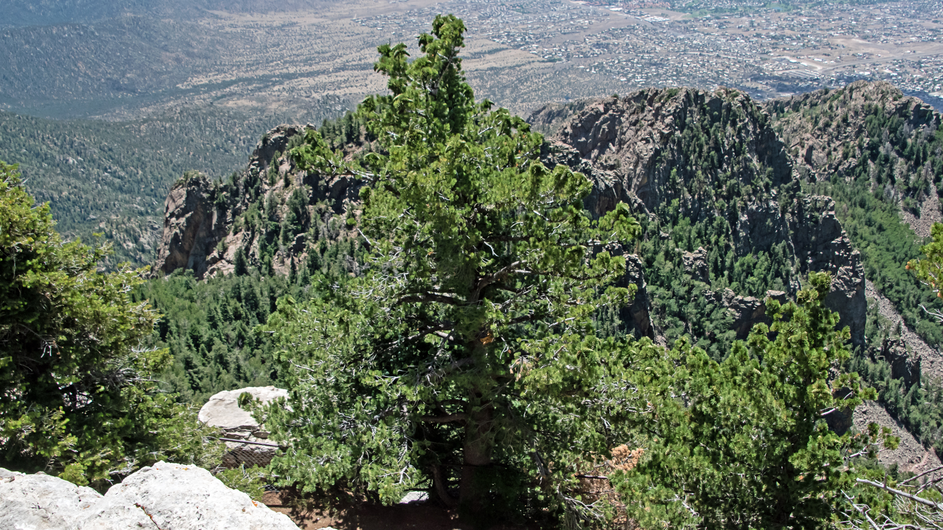 Sandia Crest, August 2023