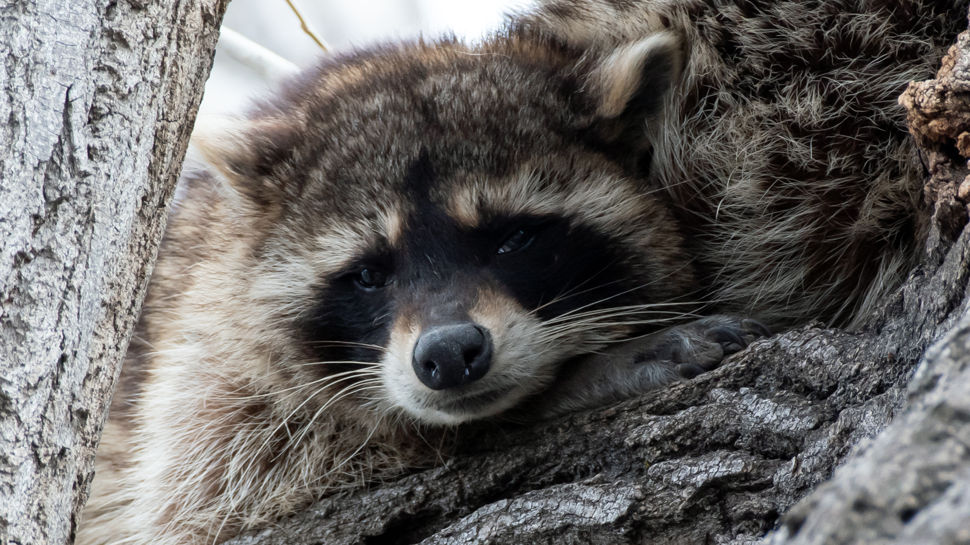 Rio Grande Nature Center, April 2023