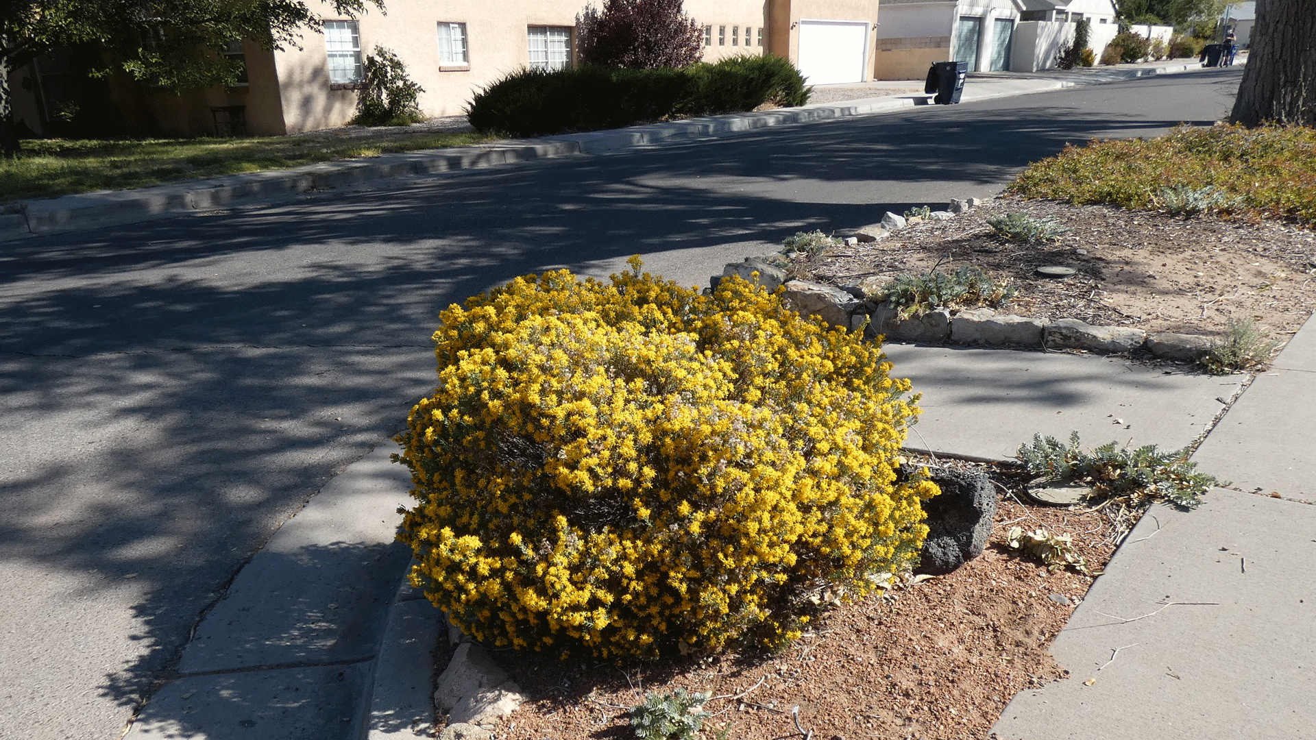 Albuquerque, October 2020