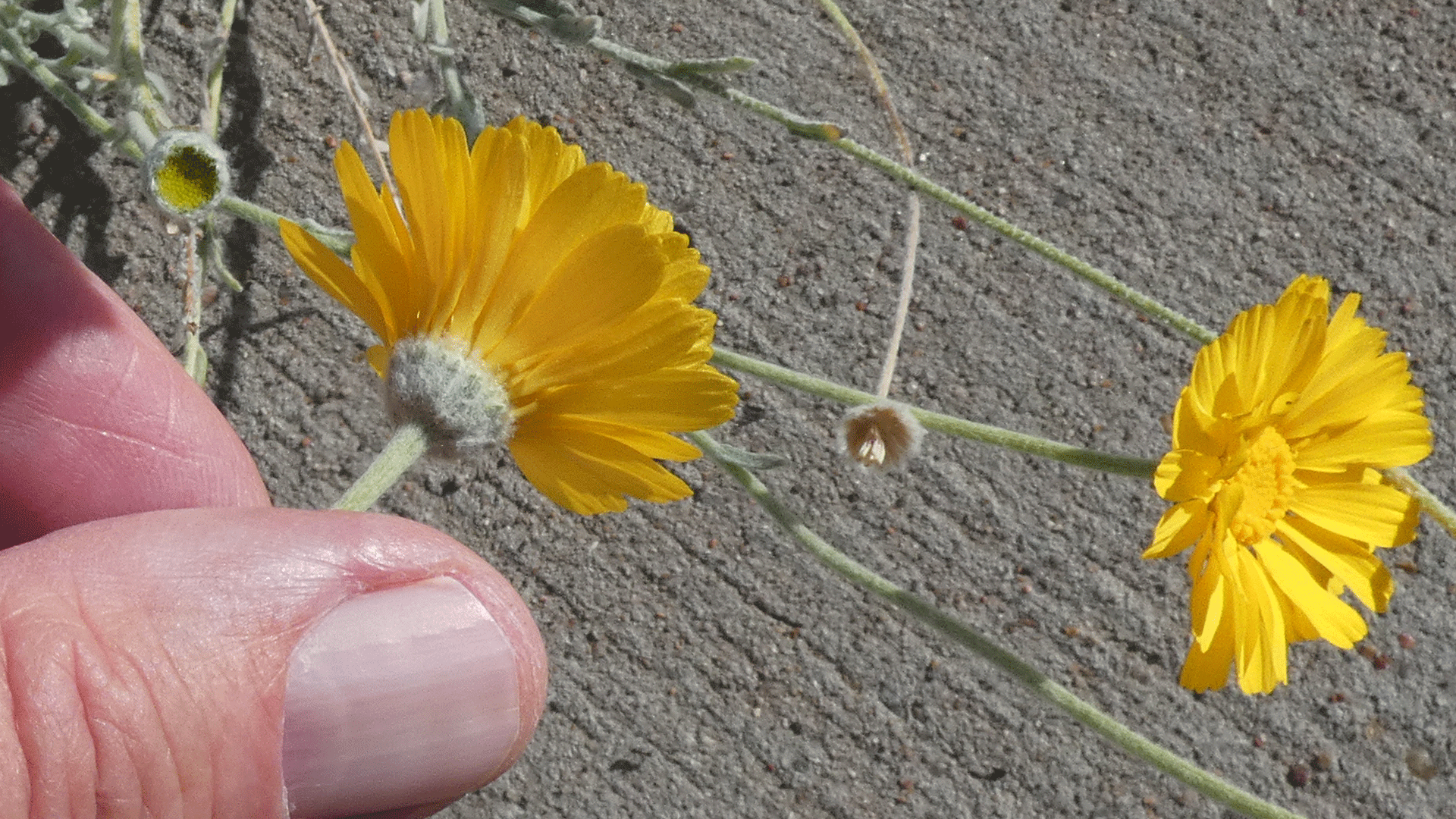 Albuquerque, September 2020