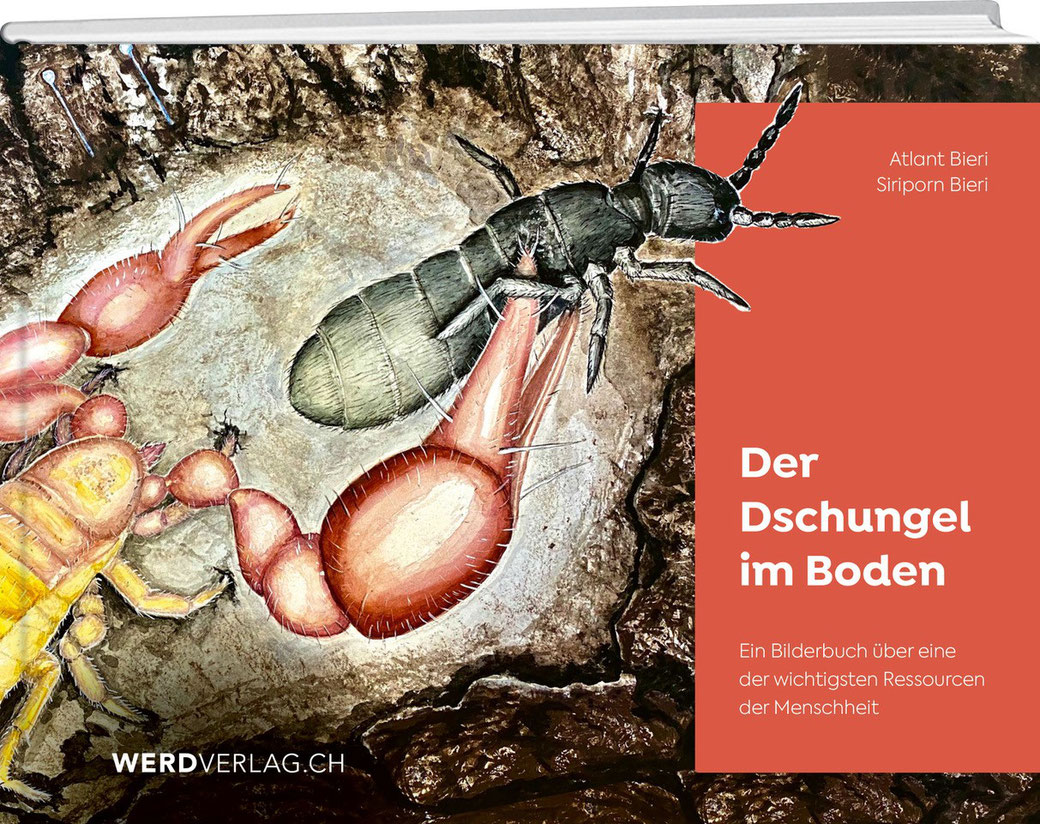Sachbücher für Gross und Klein. 