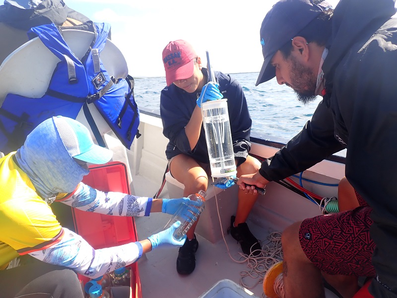 Barcoding Galápagos - Barcodes for all Galápagos multicellular organisms