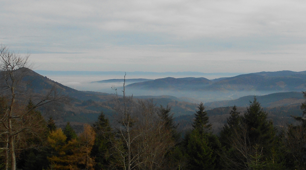 Vue sur l'Alsace depuis le Col de La Côte de l'Engin