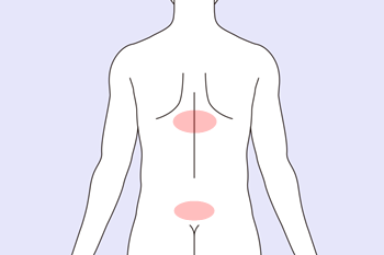 眩暈を鍼灸で施術する際のツボエリア