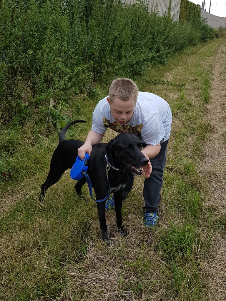 therapie hund ausbildung