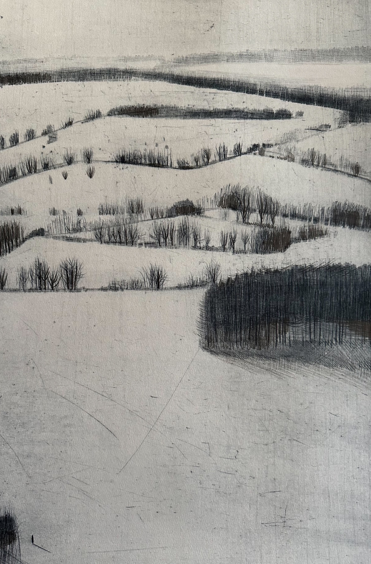 Katja Lang, Winterruhe, 2023, Kaltnadelradierung