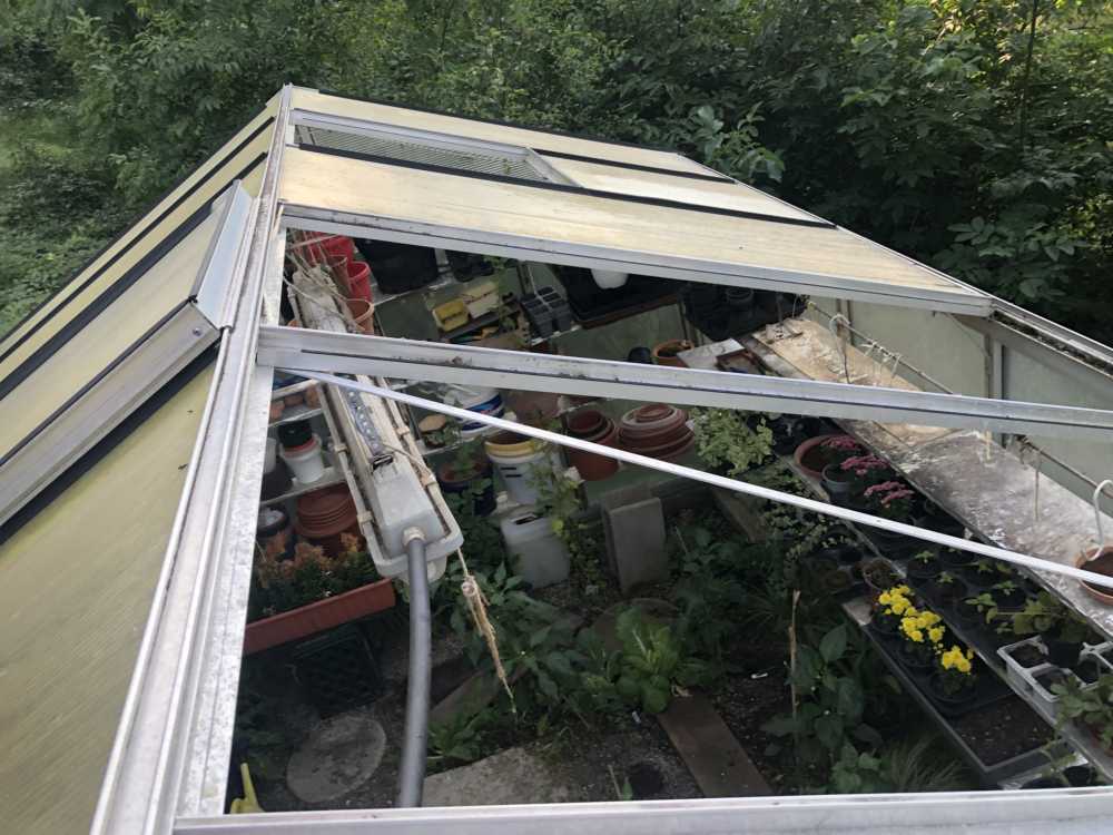 Versicherungsschaden: Profigewächaus
