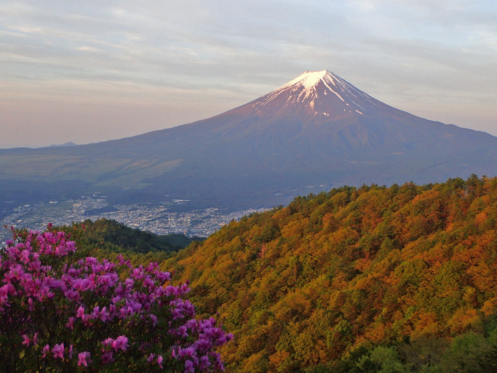 ２日目：朝焼けの富士山（山頂が赤く染まらず残念）