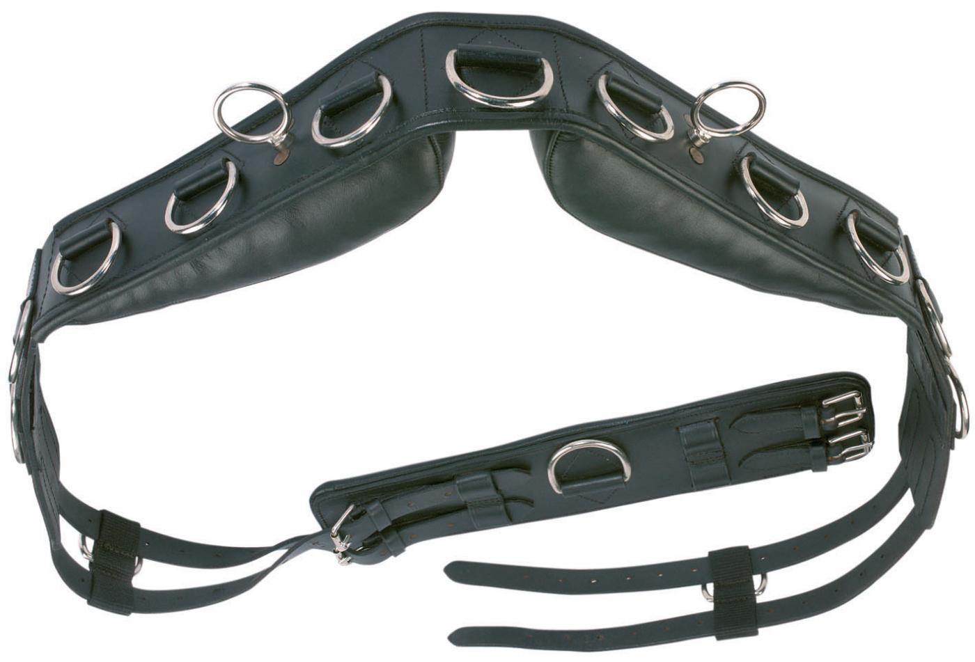 Voltigiergurt Longiergurt mit Griff Busse für Minishetty Shetty Pony Warmblut