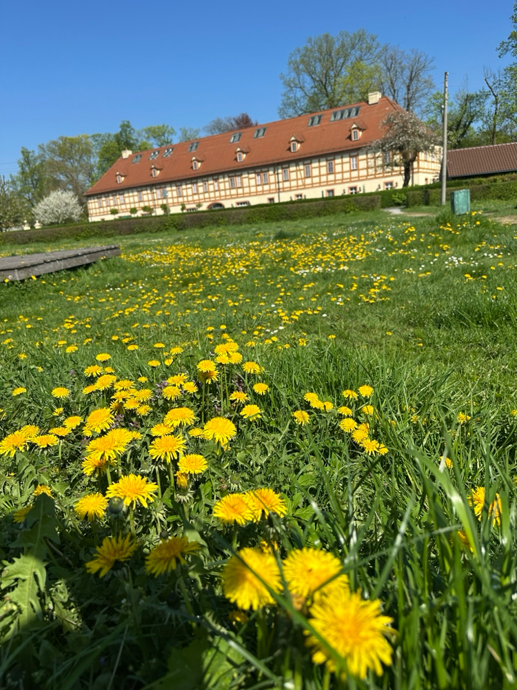 schloss-luebbenau.jpg