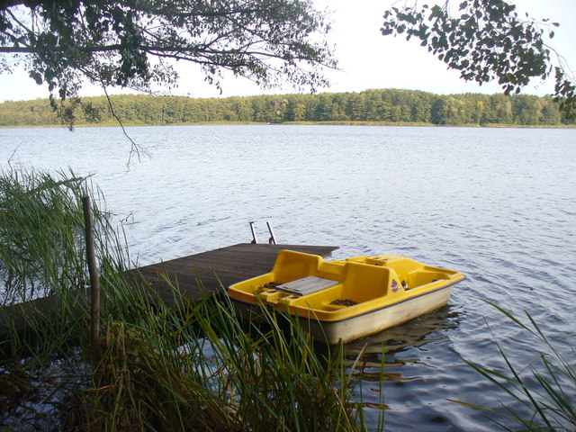 zeesener-see-laufstrecke-waldweg.jpg