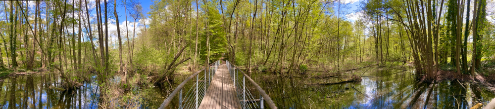 Verbindung-zwischen-krummensee-und-Bestensee.jpg