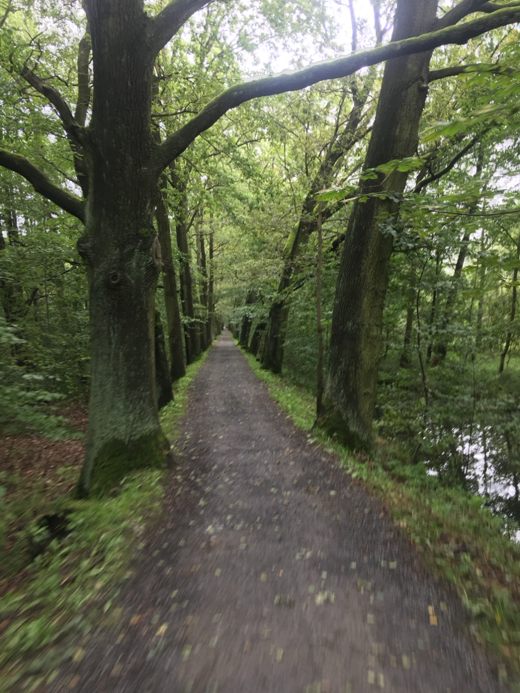 die-laufstrecke.jpg 
