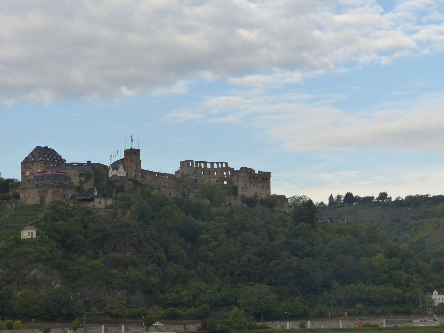 Burg Rheinfeld in St. Goar
