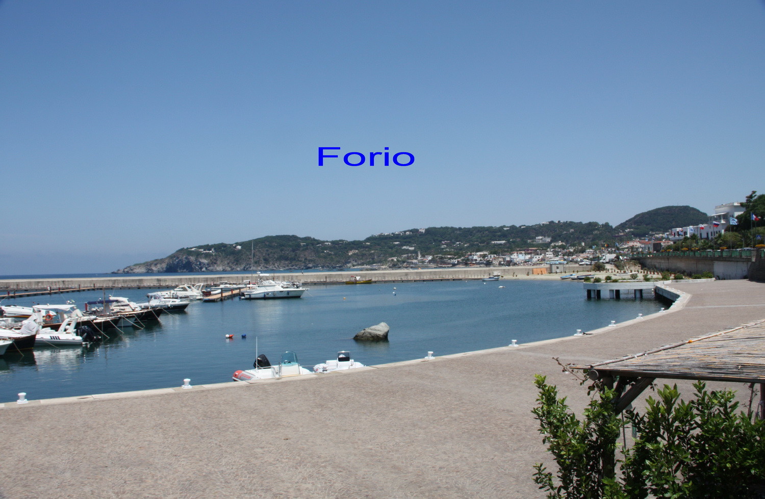 Hafen Forio auf Ischia