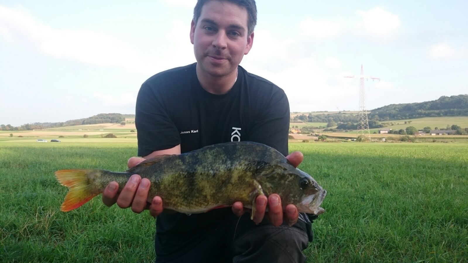 Barsch, 47 cm