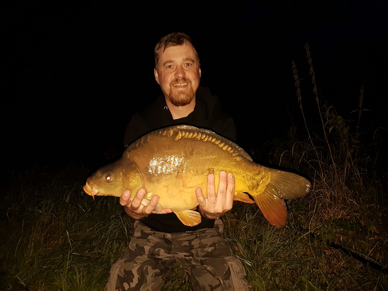 Karpfen, 6 kg
