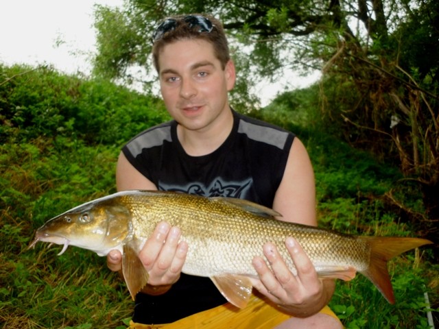 Barbe 62 cm