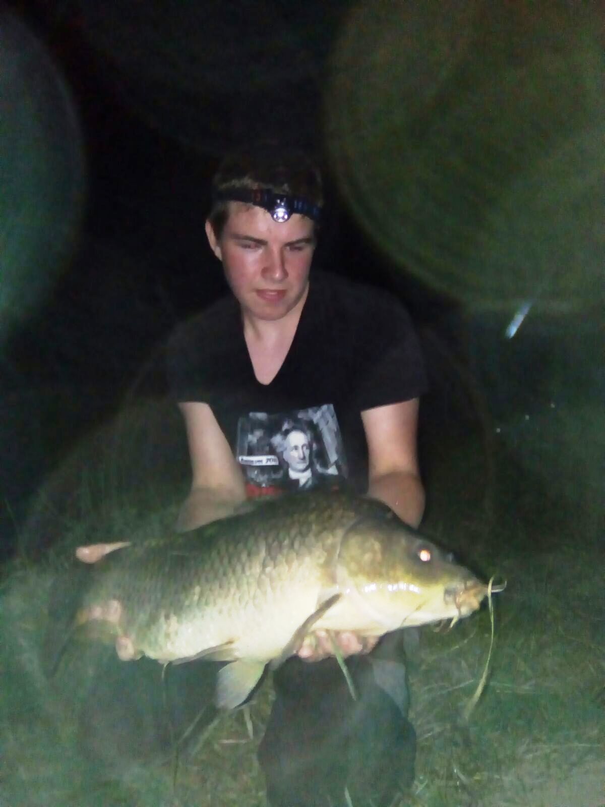 Karpfen, 15 Pfund, 68 cm