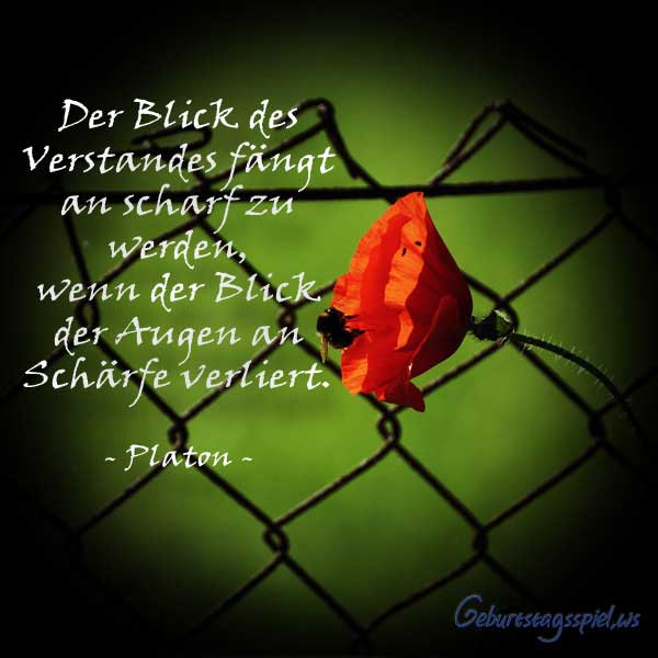 23. Spruch der Woche