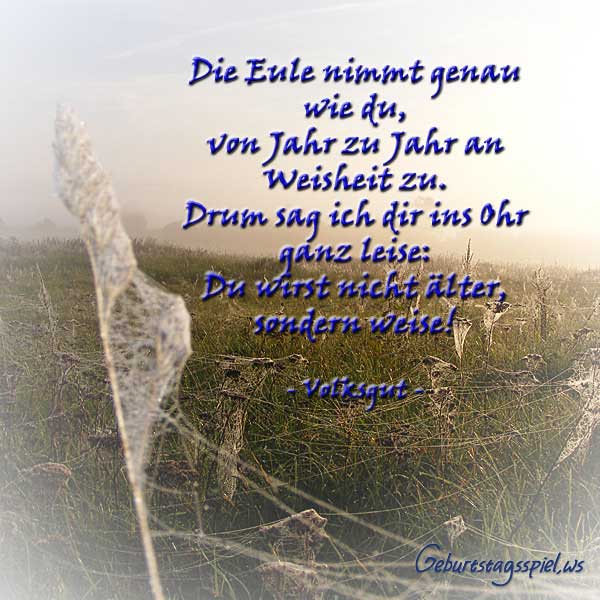 33. Spruch der Woche