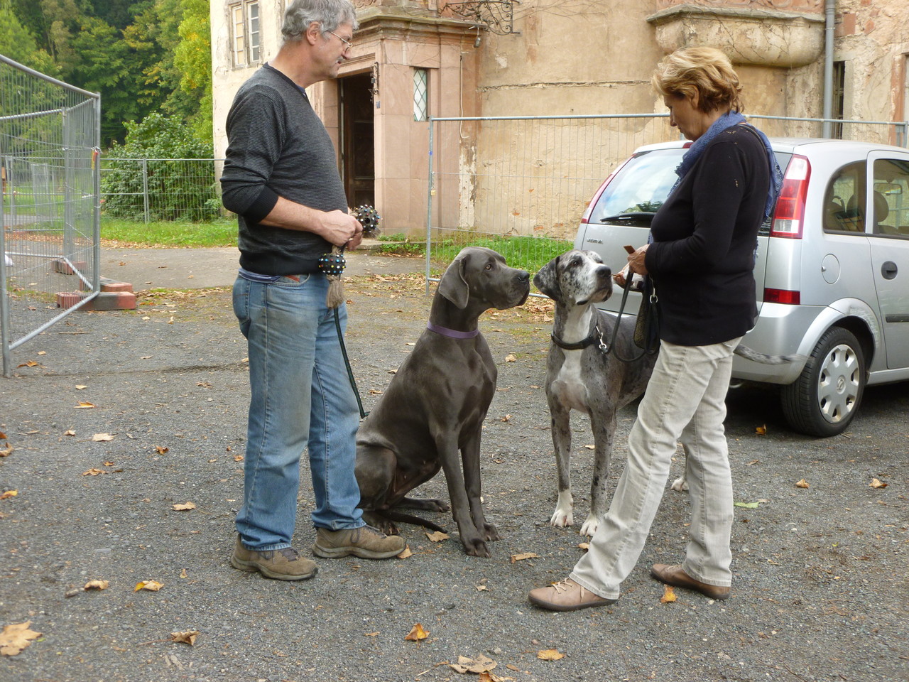 Leistungen menschhundtrainer Hundeschule Gelnhausen Webseite!