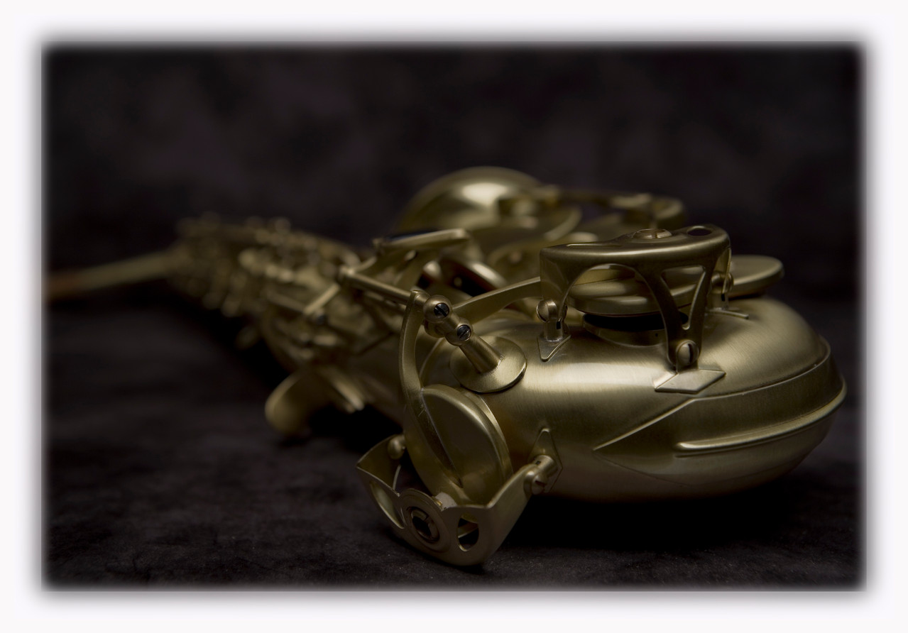 SW (Santaluna Winds), Alto sax, Vintage Gold Satin