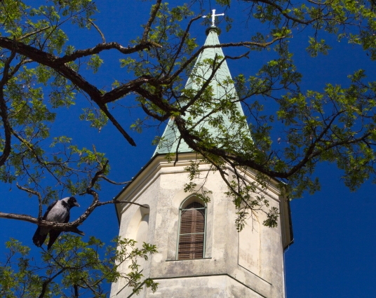 Šv. Katerinos bažnyčios bokštas Kuldygoje / Foto: Kristina Stalnionytė