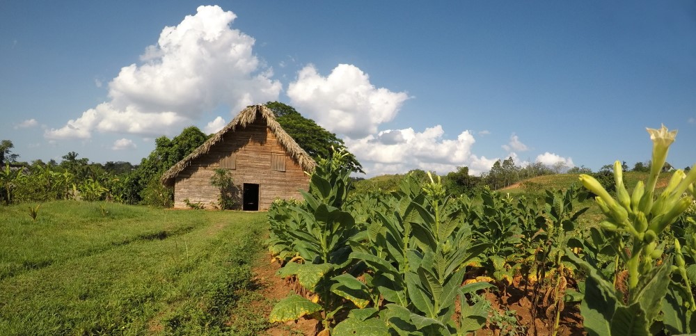 Vinjales - Kubos slėnio pasaka