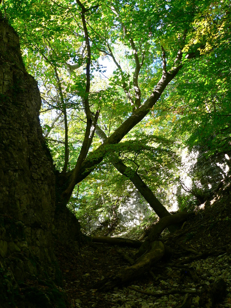 Höllenlöcher am Albtrauf von Hülben © Brigitte Buck