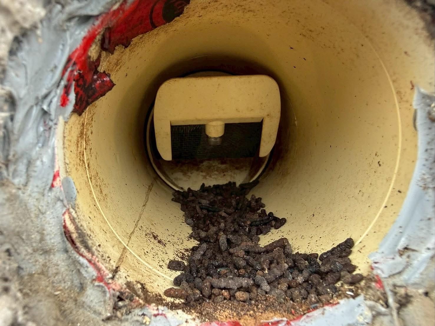 「ベランダや窓のサッシに、黒くて小さいフンが落ちていませんか？」