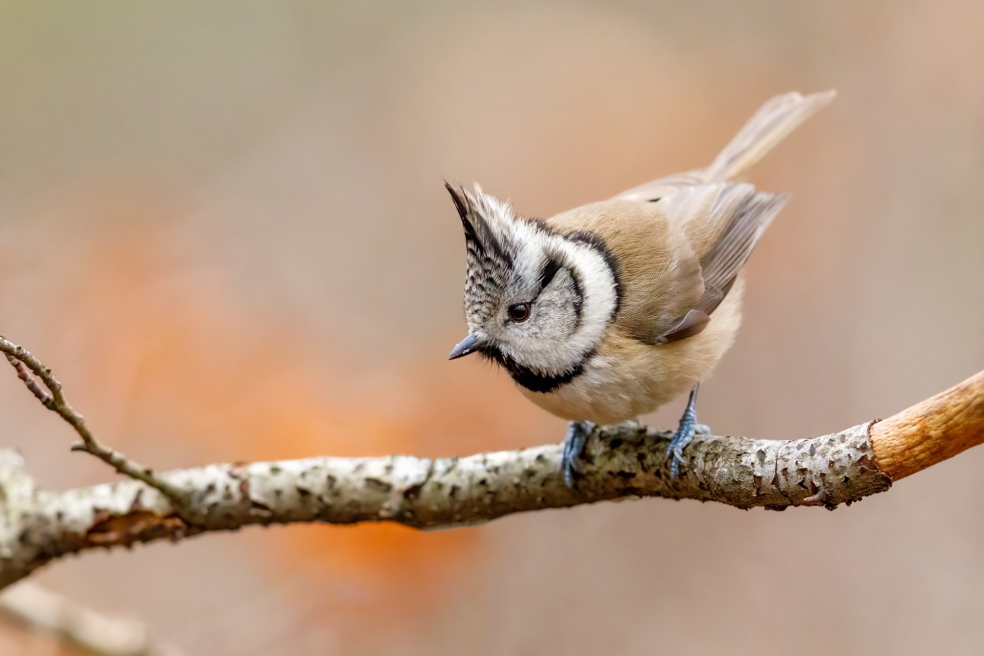 Foto: J.Fleige
