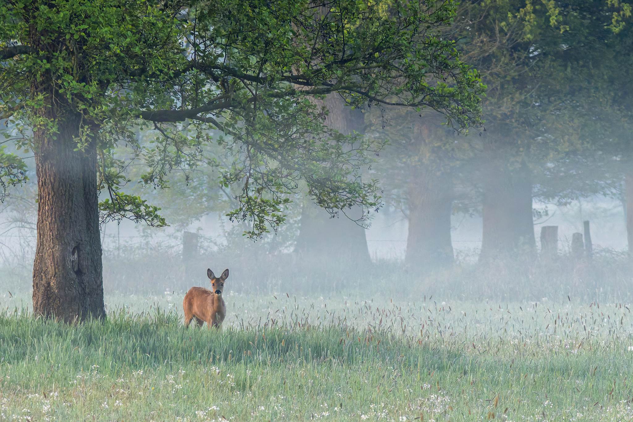 Foto: W.Weigelt