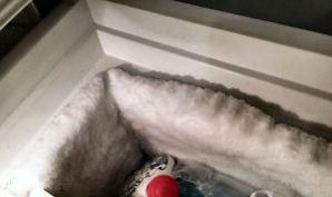 冷凍庫の氷が一杯に デュッセルドルフ アパート シェアアパート