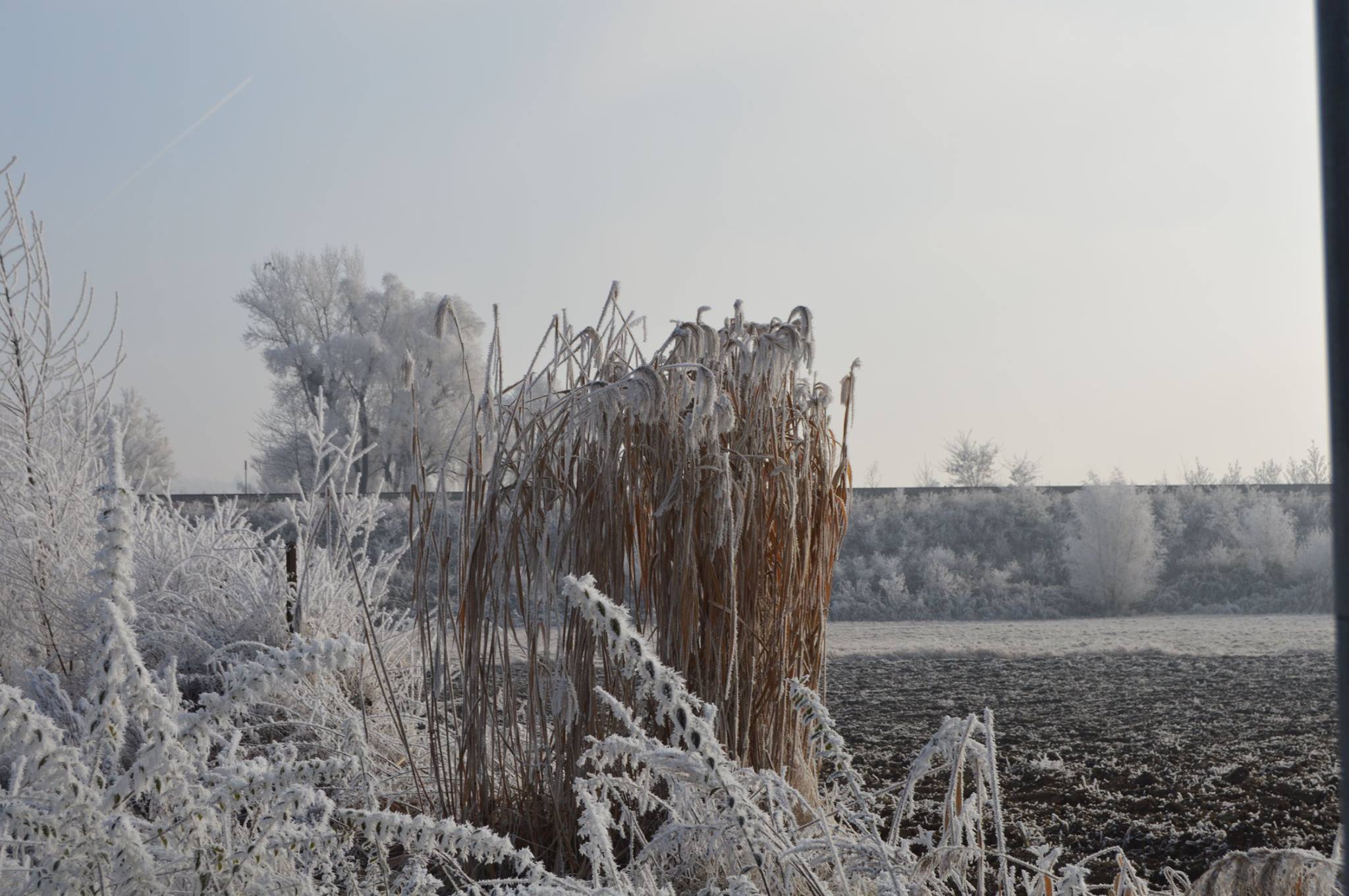 Donaupromeade Deggendorf