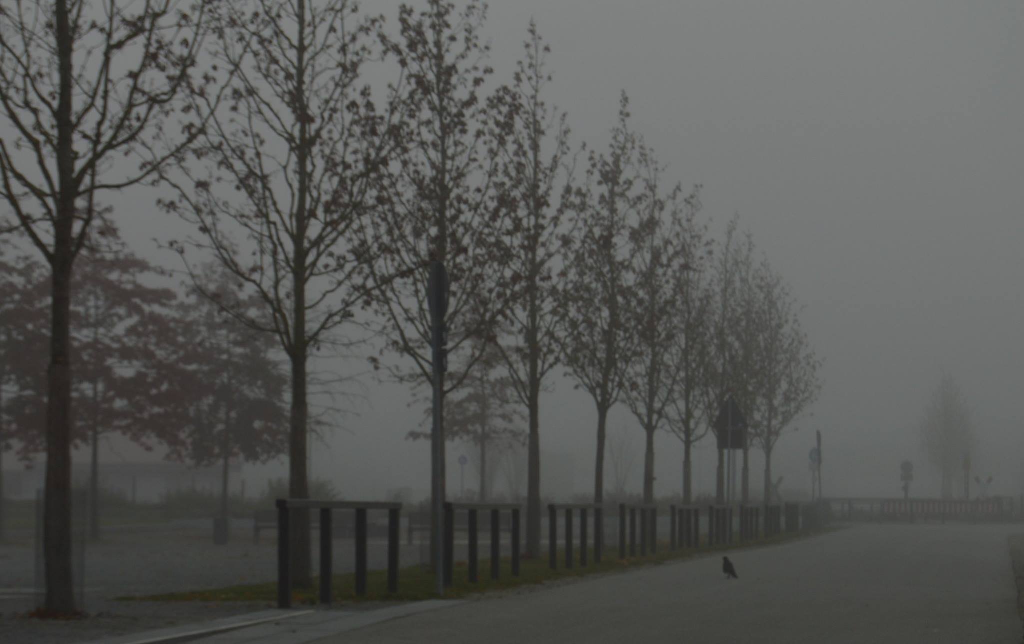 Donaupromenade Deggendorf
