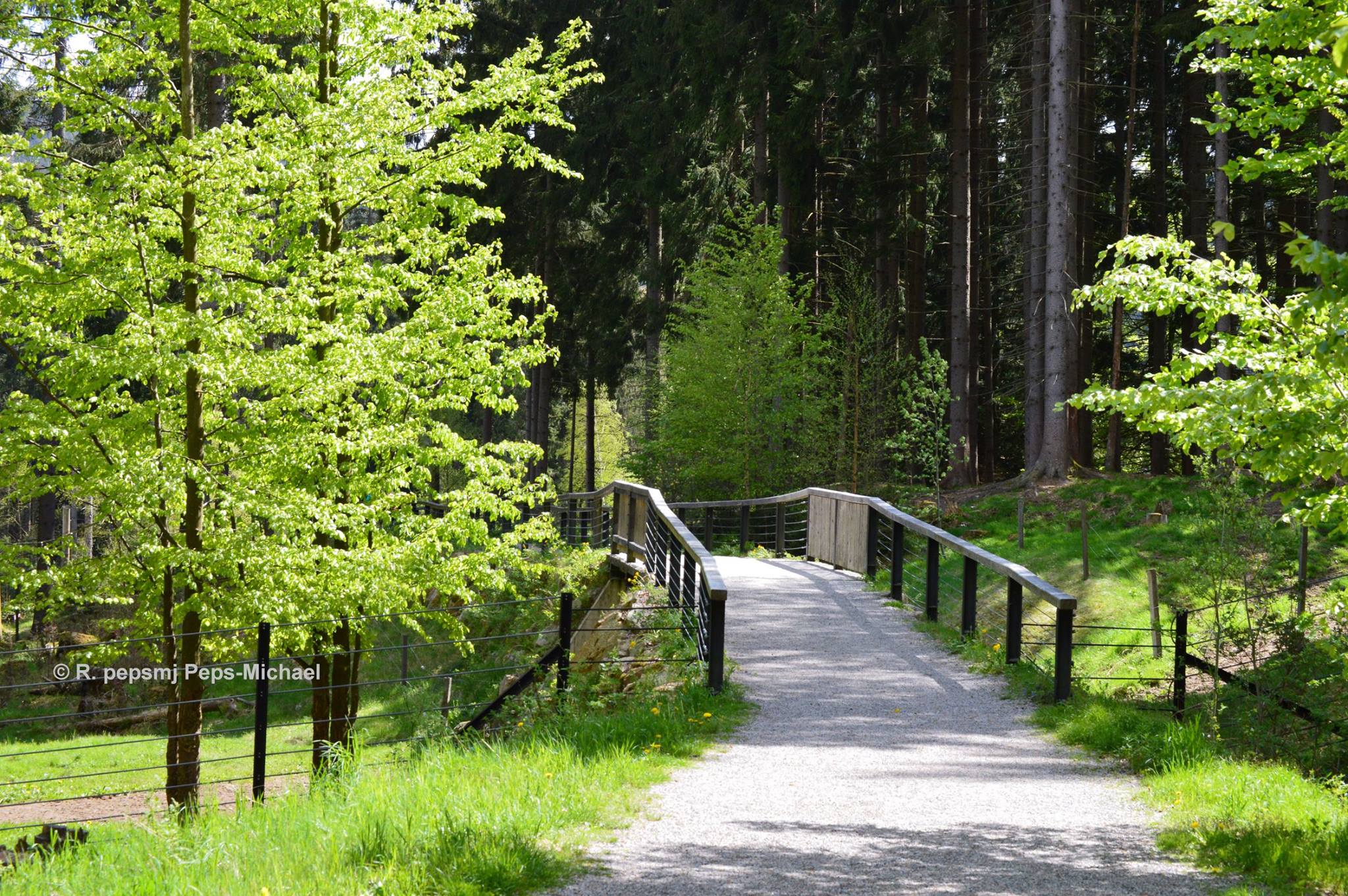 Haus zur Wildnis - Zwiesel