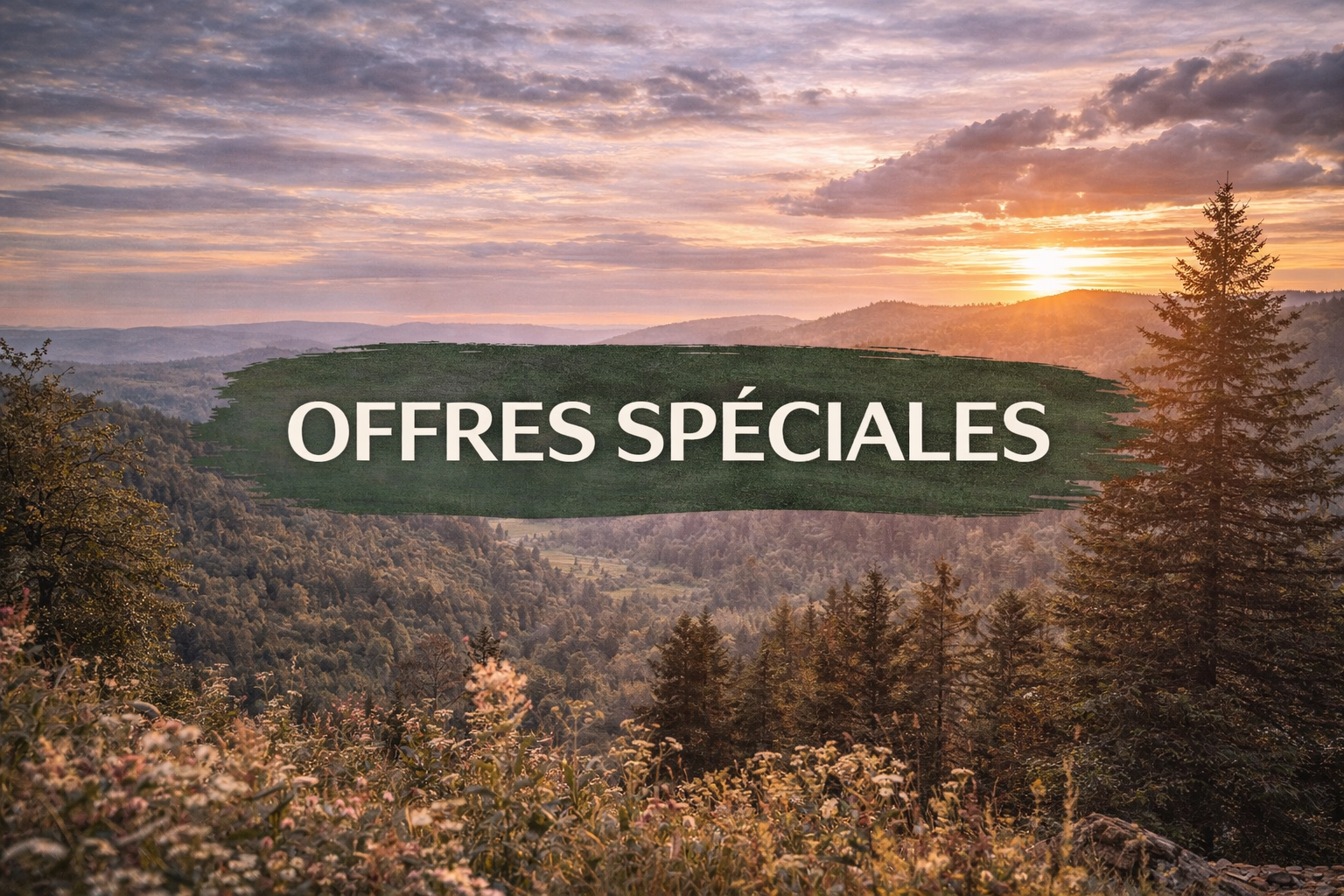 Nos packs-domaine-du-Chatelet-Ferdrutp-Vosges