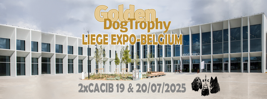 Golden Dog Trophy- Liege Expo (Belgien)