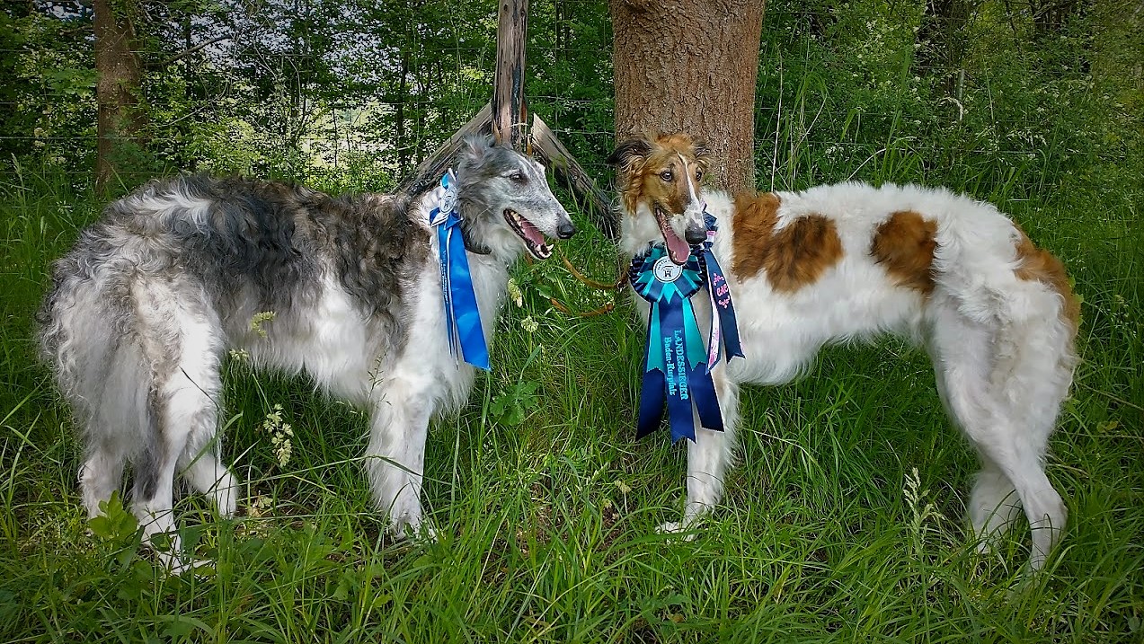 2 x Landessieger bei der LS Ausstellung am 4. Juni 22 in Landstuhl ! 🥳✌️