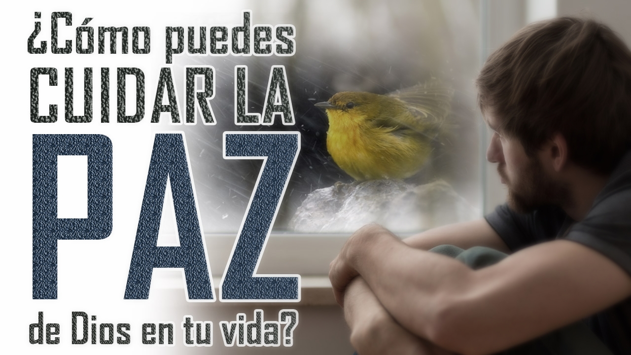 ¿Cómo puedes cuidar la paz de Dios en tu vida? - Reflexiones Cristianas