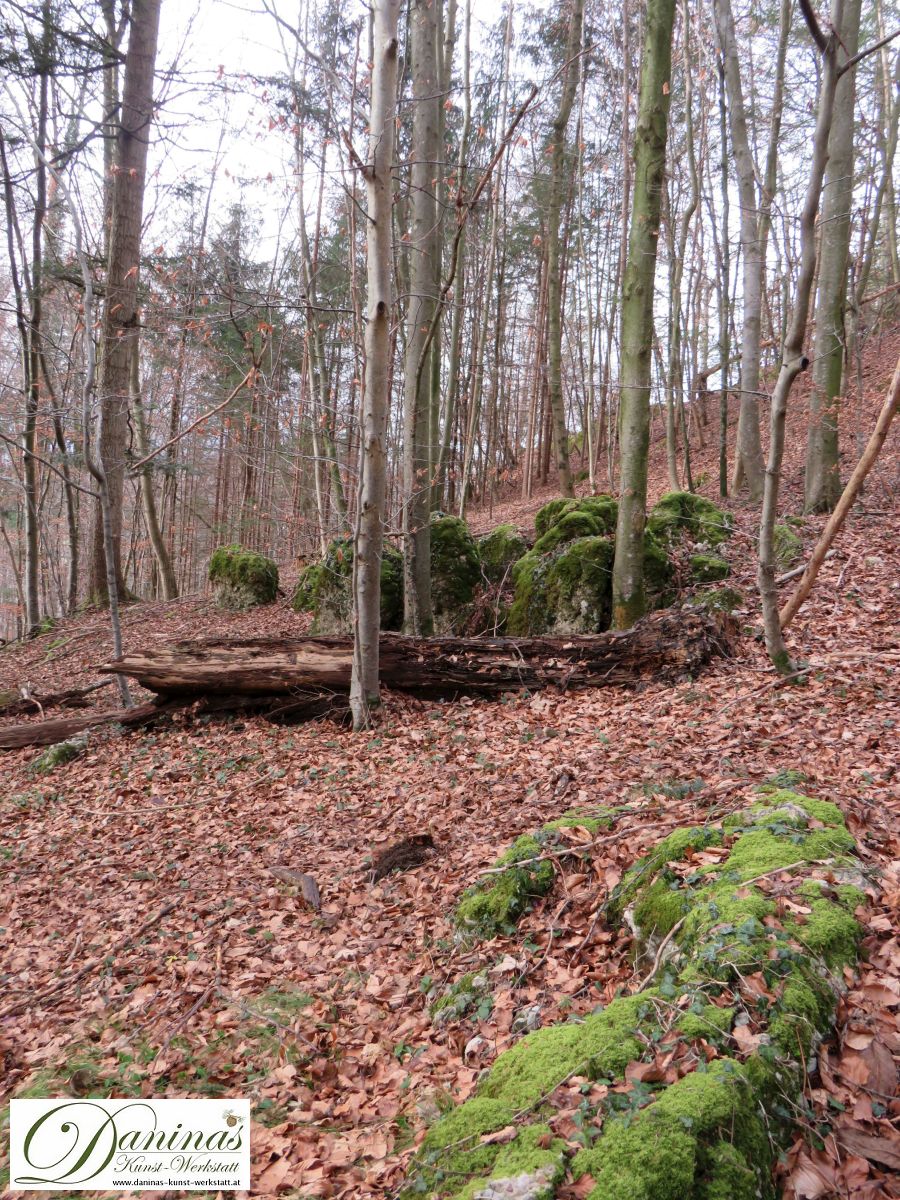 Wald mit Felsen und Totholz