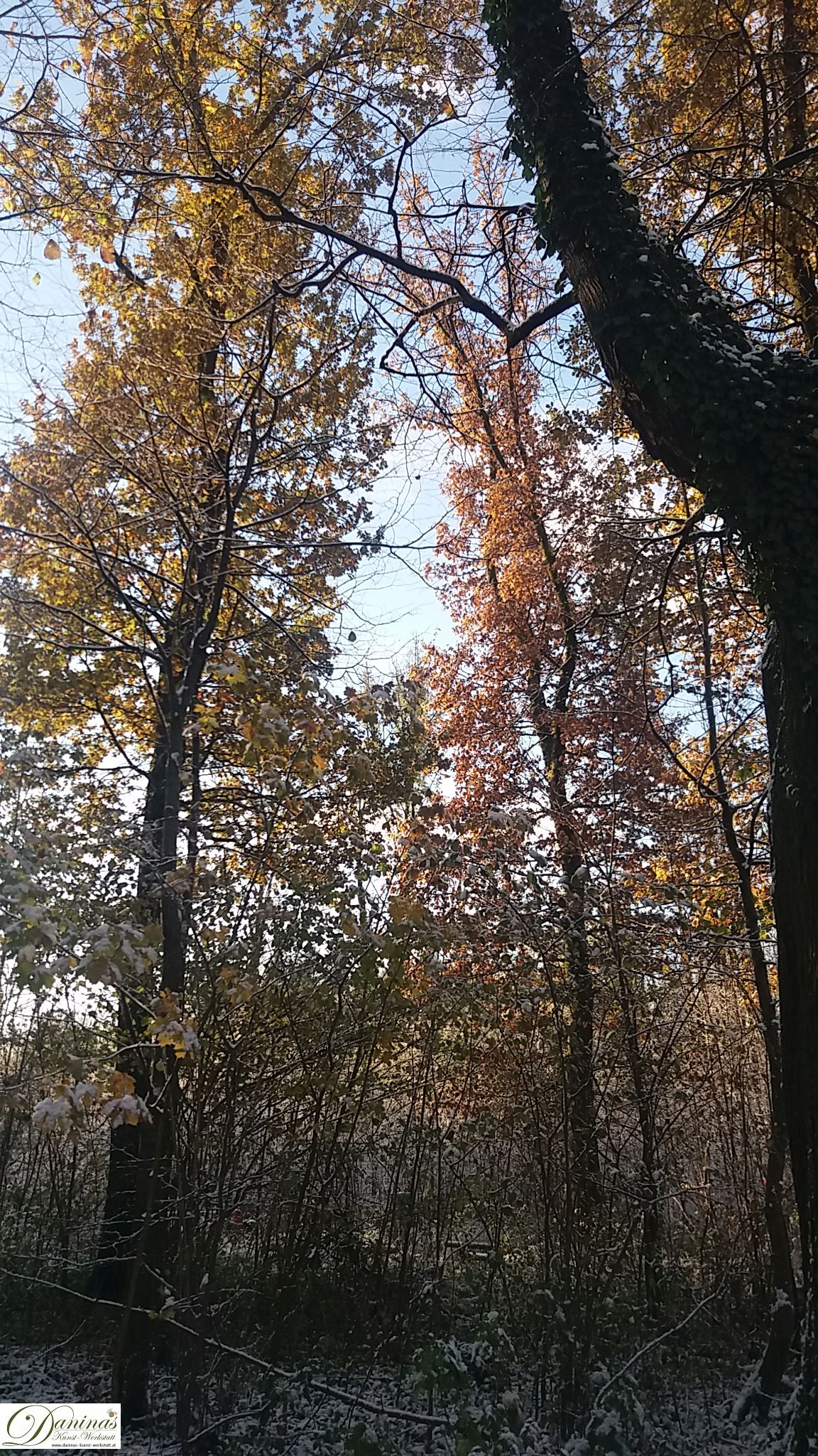 Herbst von seiner kalten Seite - mit erstem Schnee und glitzernden Eiskristallen