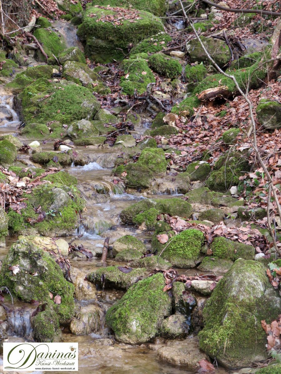 Waldbach mit bemoosten Steinen